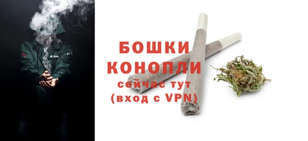 индика Аша