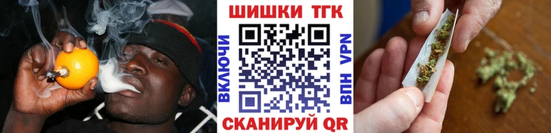 как найти наркотики  Пучеж  Шишки марихуана сатива 